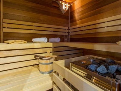 EA Horský hotel Hájenka*** - wellness centrum - sauna